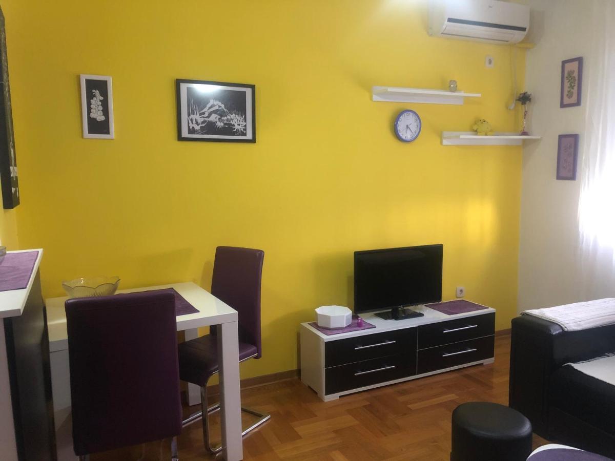 Apartman Tanjuska ポドゴリツァ エクステリア 写真